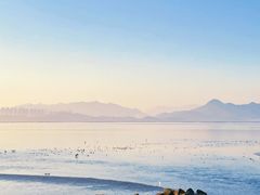 -深圳湾公园(南山区)