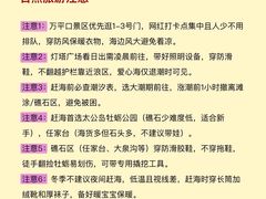 -日照海滨国家森林公园