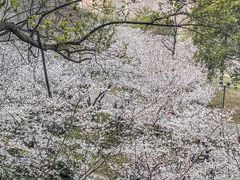 -Beans Solo豆号咖啡(百家湖花园店)