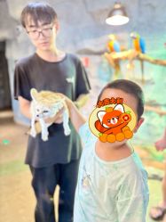 -Zoolung Zoolung动物主题公园(海信广场店)