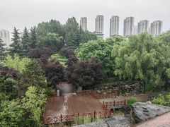 -清凉山国家森林公园