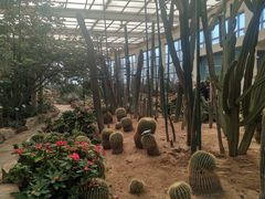 -石家庄市植物园