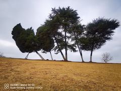 -钟山体育运动公园