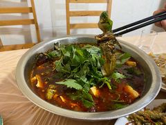 -彭大姐老店黄辣丁(新津店)
