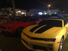 -丽姐租车