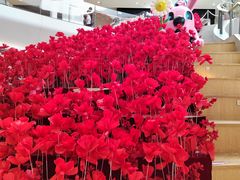 -今日·TODAY手作低脂动物奶油蛋糕定制(高新万达店)