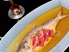 清蒸鲥鱼-夜上海(新天地店)