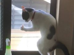 -海底捞火锅(武胜路凯德广场店)