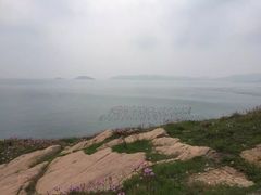-枸杞岛