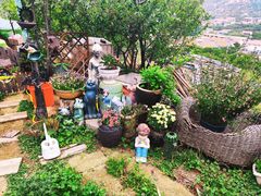 -荒度咖啡(北九水店)