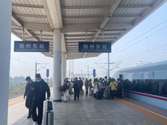 -正宗忘不了老鹅(梅岭店)