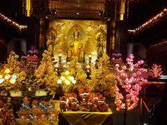 -新加坡佛牙寺龙华院