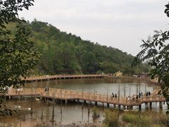 -神光山国家森林公园