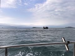 -小猫钓鱼海钓俱乐部(椰梦长廊店)