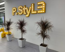 -P.STYLE派斯造型