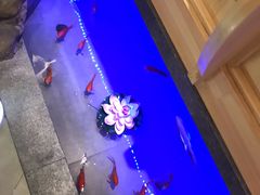 -九田家黑牛烤肉料理(中北镇店)