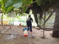 -马陆小张葡萄园农家乐