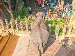 -长鹿旅游休博园
