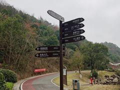 -桃花岭景区