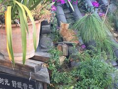 -丽江花间堂·隐泉院