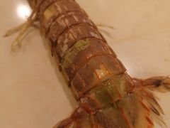 -喜乐餐厅•灯笼虾球首创者•本地小海鲜(二马路店)