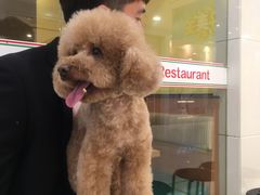 -悠尼宠物·独立低压伊珊娜洗护·美容·寄养(兰谷路店)