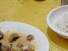 -港升鱼师傅·中山脆肉鲩