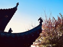 -长春观