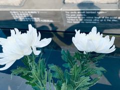 -侵华日军南京大屠杀遇难同胞纪念馆