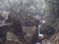 山涧风景-鼎湖山风景区