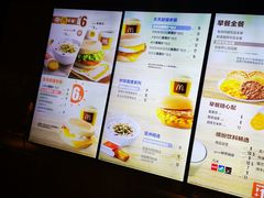 -麦当劳(石家庄北国店)