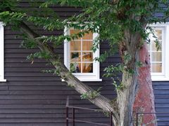 -三鹰之森吉卜力美术馆