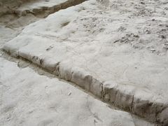 -金沙遗址博物馆