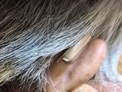 -自然之声助听器·呼吸机(和平店)