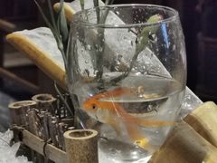 -蜀江龙火锅(339店)