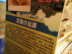 -龙猫仔乐园(惠福东路店)