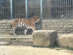 -上方山森林动物世界