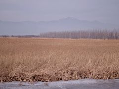 -野鸭湖国家湿地公园