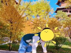-迎泽公园