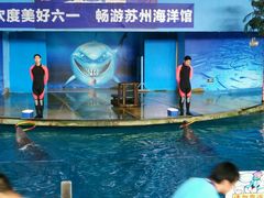 android_upload_pic-苏州海洋馆