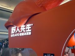 -野人先生现做冰淇淋(北京王府井东方新天地店)