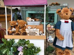 -济州岛泰迪熊博物馆