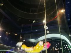 -飞行家太空体验馆(祥云小镇店)