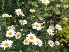 -花味烤肉·拌饭(庐阳万象汇店)