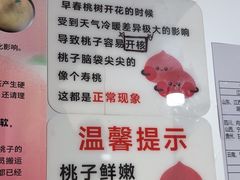 -老袁家蜜桃农场·阳山水蜜桃