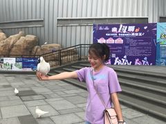 -烟台海昌鲸鲨海洋公园