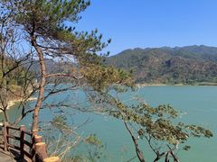 -羚羊峡古栈道森林公园