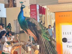 -王府井奥莱临潼小镇(临潼店)