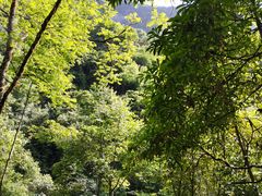 -西岭雪山大飞水景区
