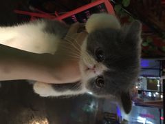 iphone_upload_pic-赢吧Bliss音乐酒吧